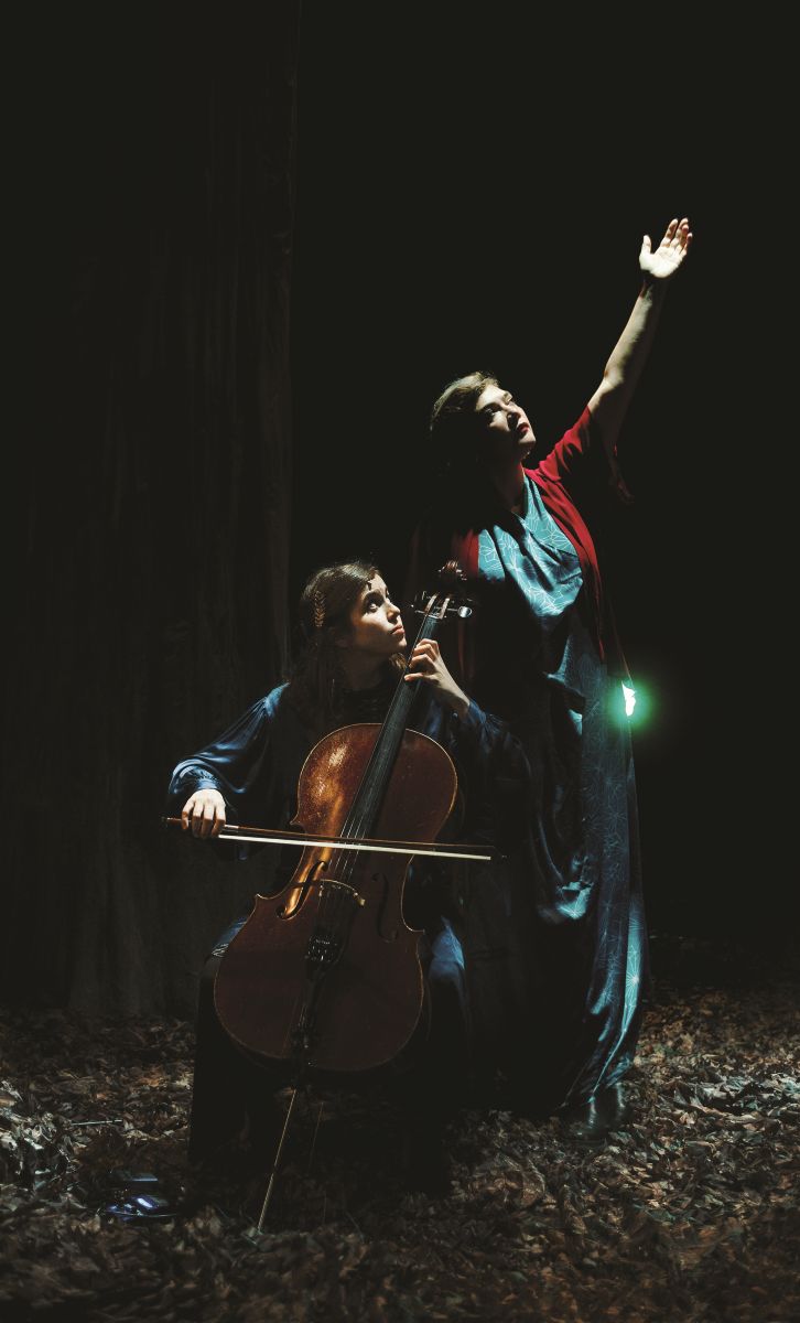 musique-birds-on-a-wire