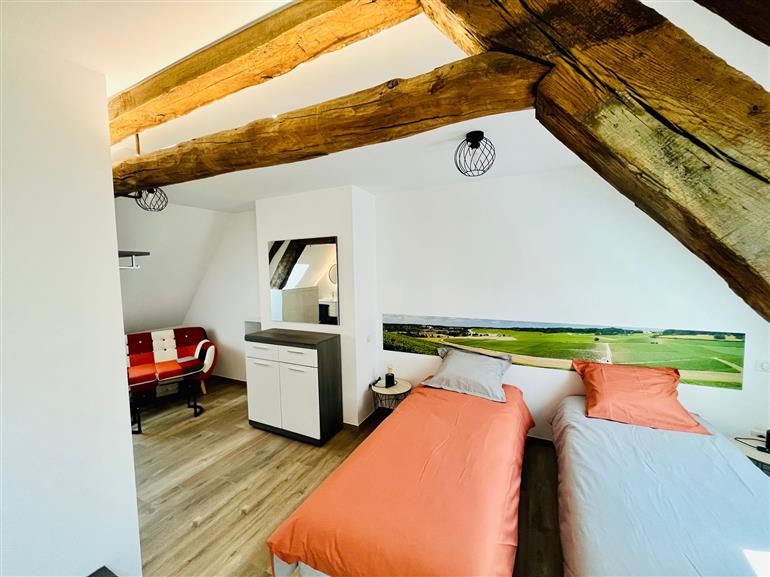 ©Brigitte Pinard (16)