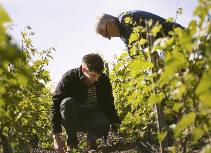 Champagne Cuillier - Vigneron à Pouillon