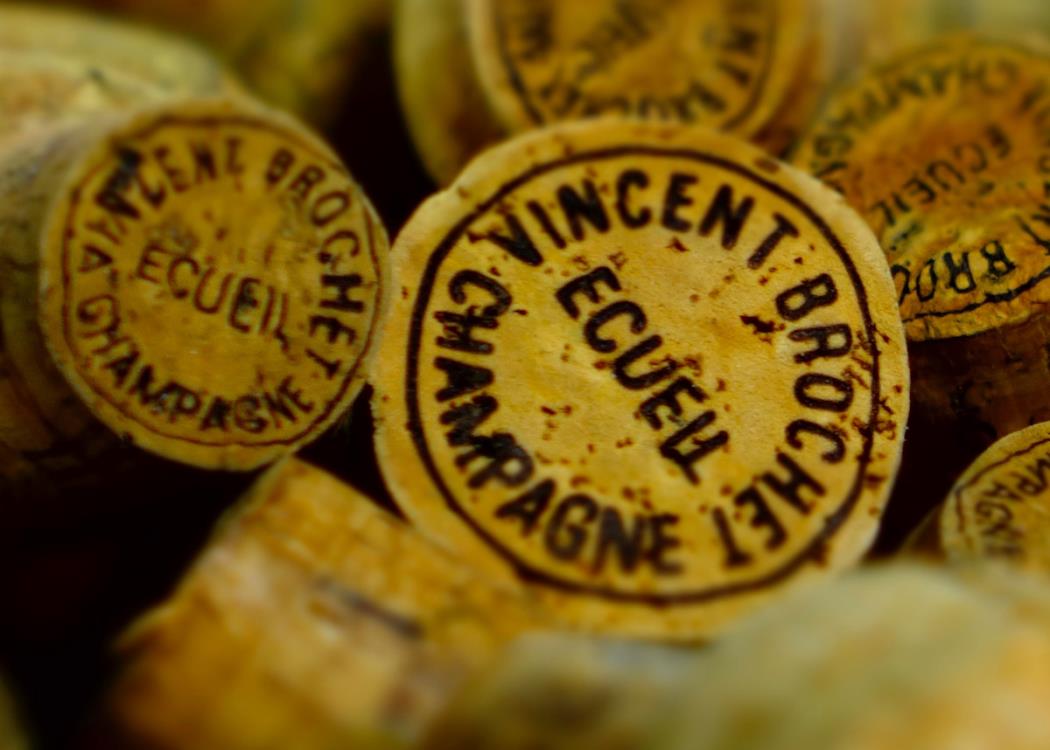 Champagne Vincent Brochet - Ecueil