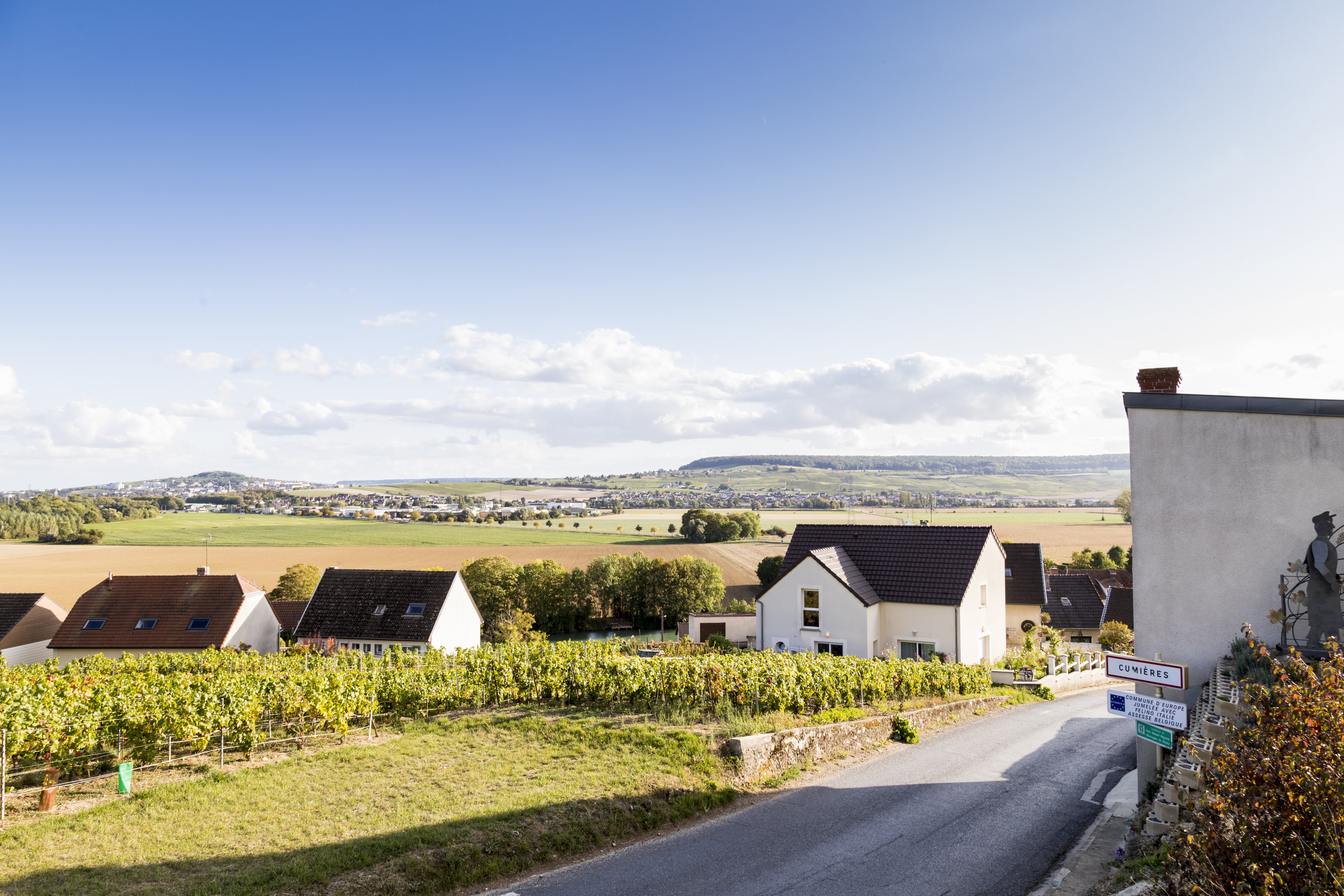 Les vendanges au Champagne Laval Louïs