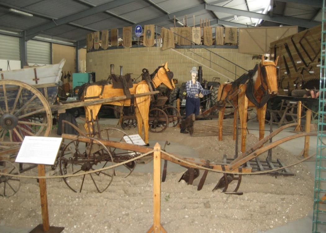 Musée rural la Bertauge - Somme-Vesles