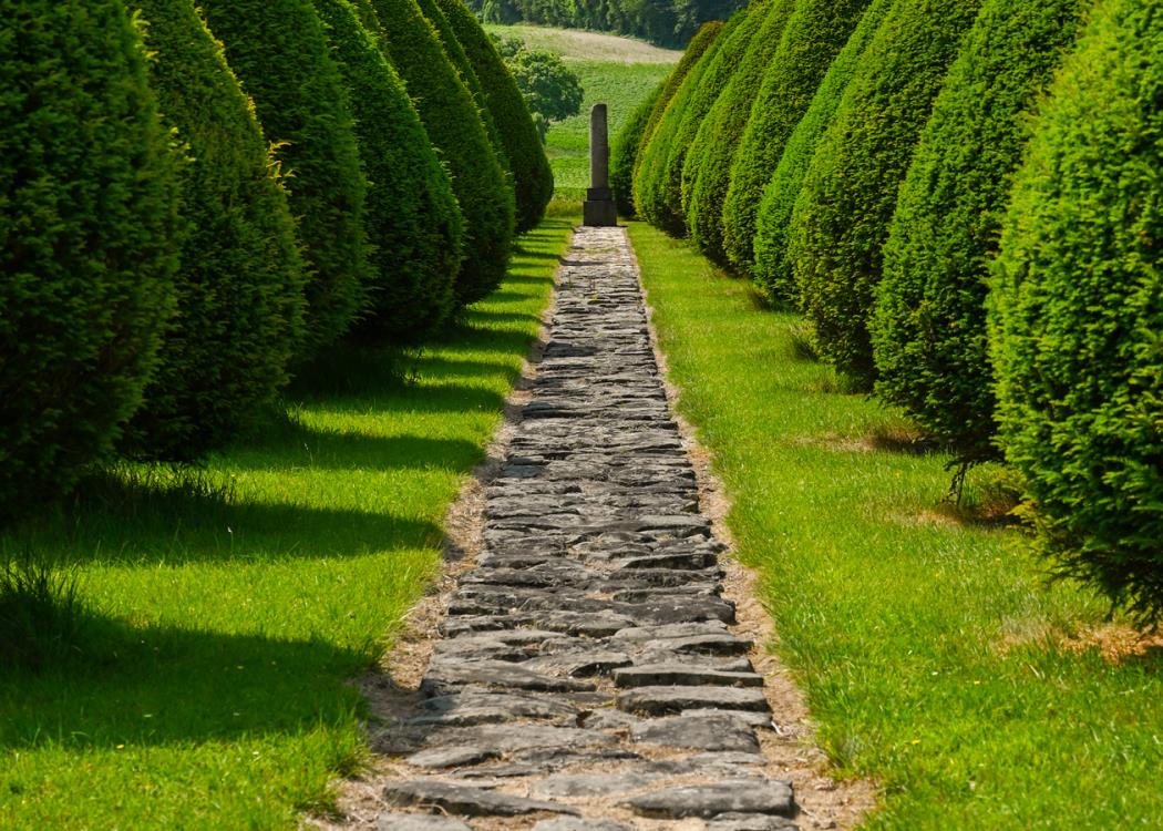 027-Site-funeraires-et-memoriels-14-18-Chambrecy-09062025-©-Christophe-Manquillet