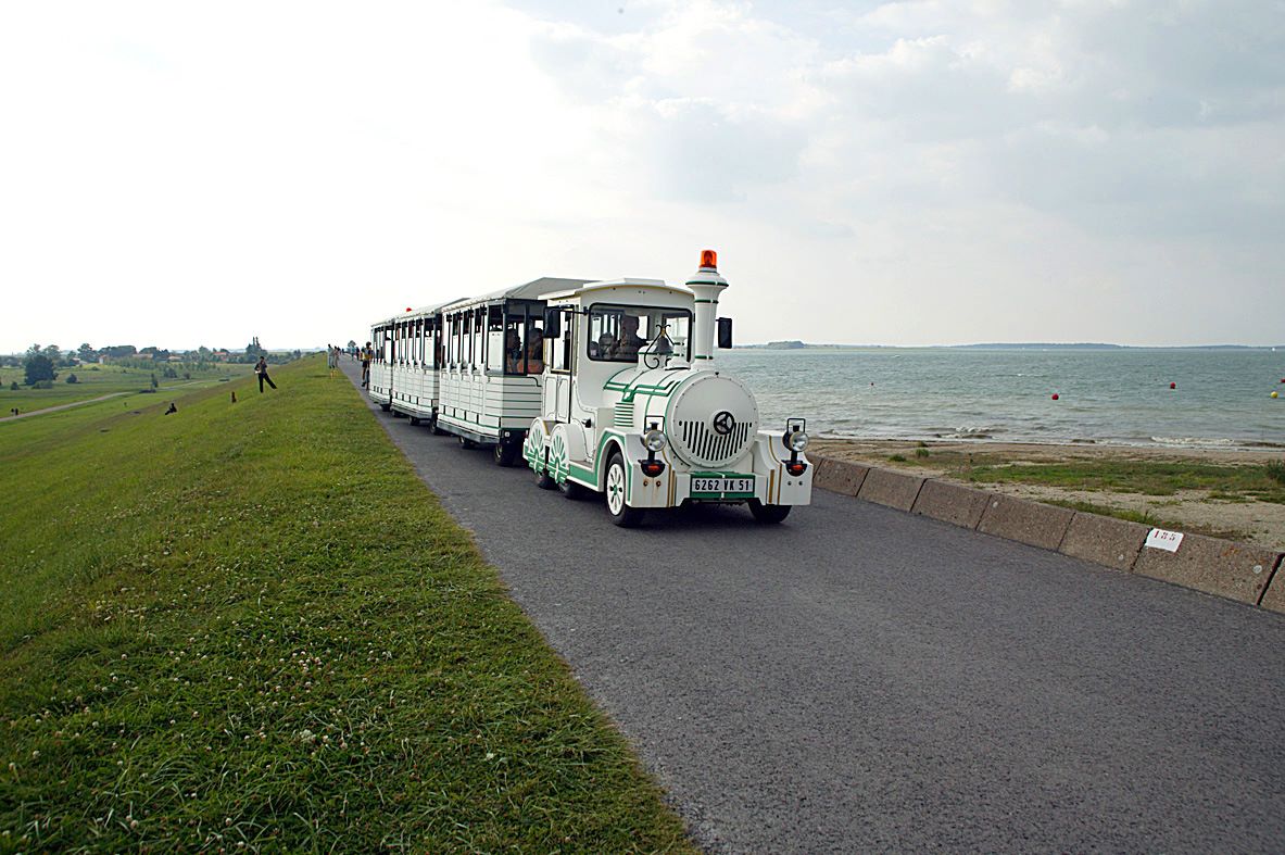 Train aux Oiseaux - Office de Tourisme du Lac du Der en Champagne