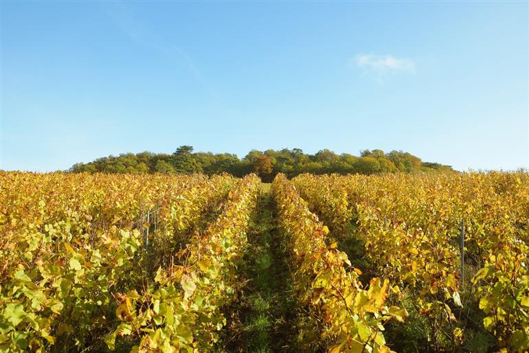 1-27-octobre-2021-2-2 (1)