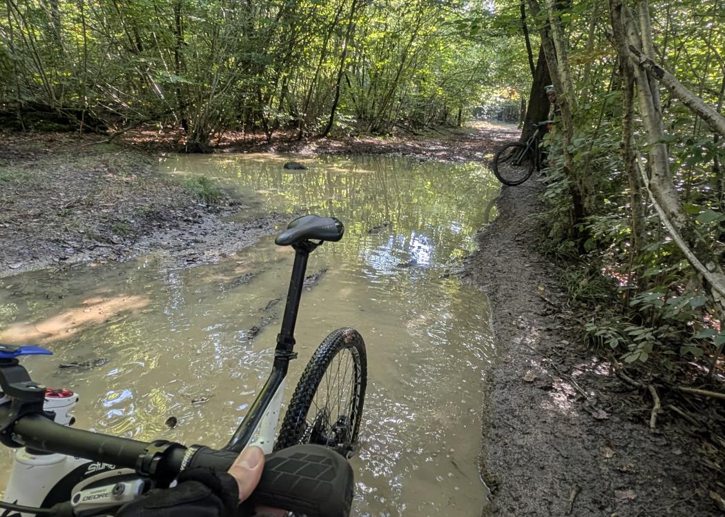 VTT Virade