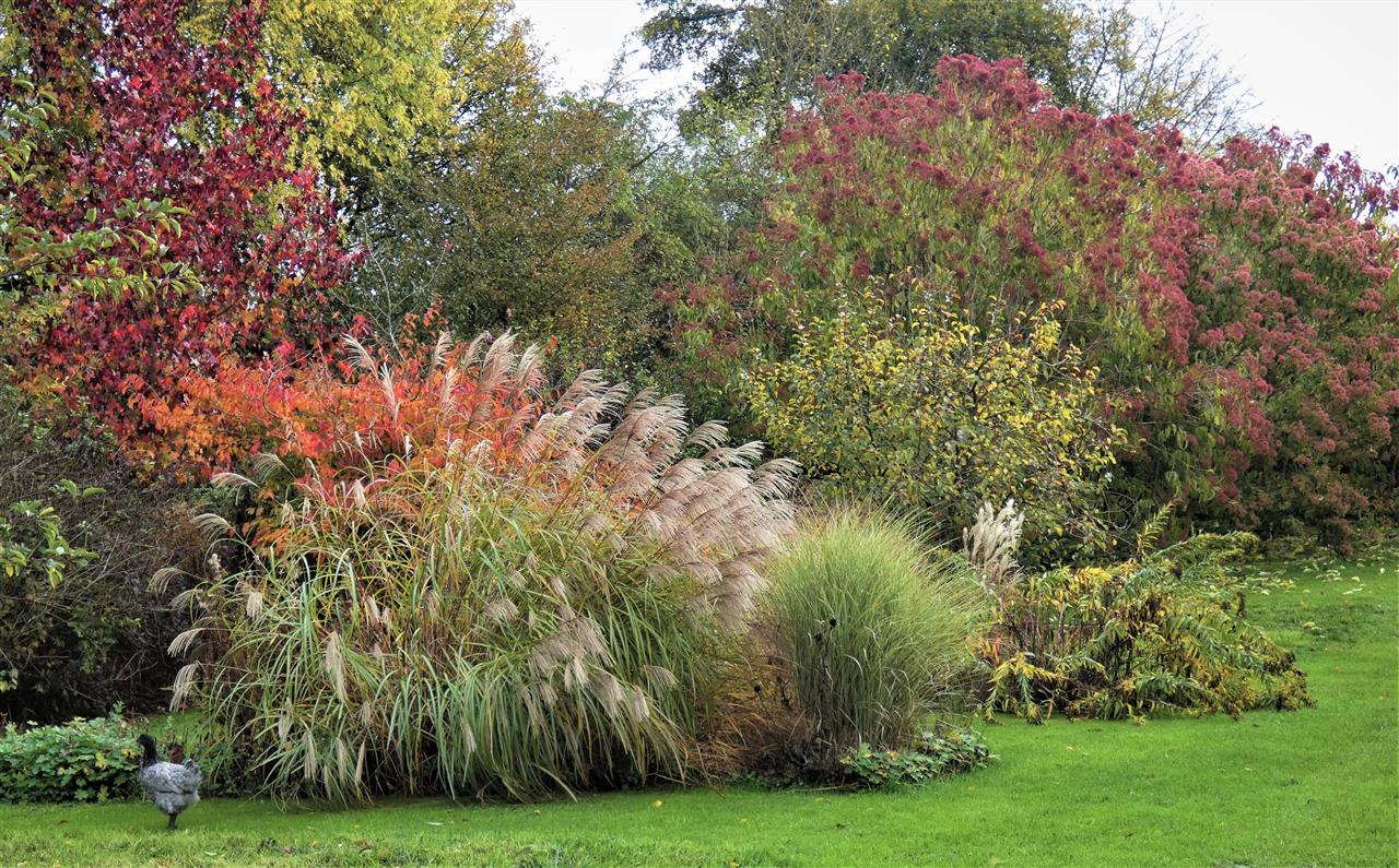 Le jardin de l'eau vive