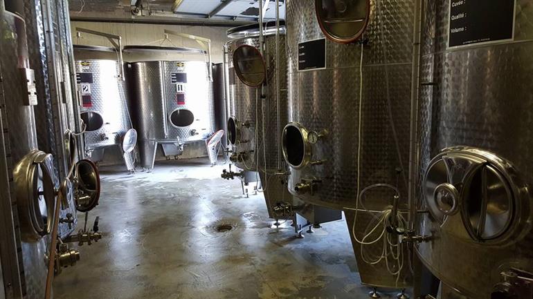 11986972_1248684918491402_6280511545760001699_n