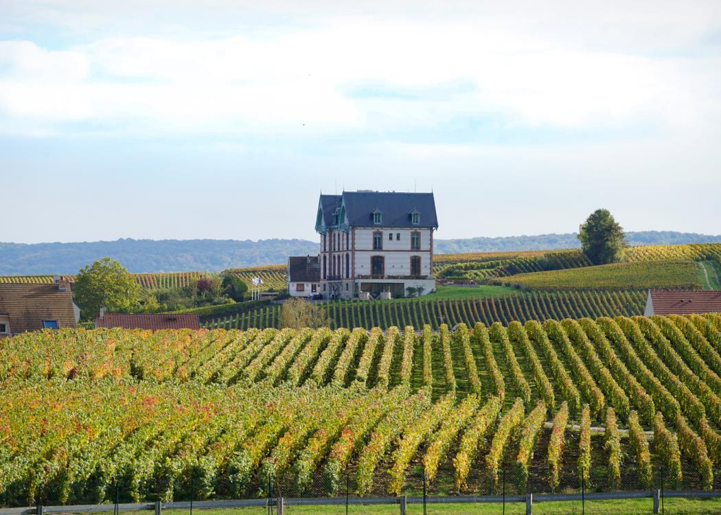 15. Château de Sacy ©Ville de Reims 15. Château de Sacy ©Ville de Reims