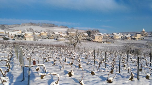 Champagne D MARC paysage sous la neige