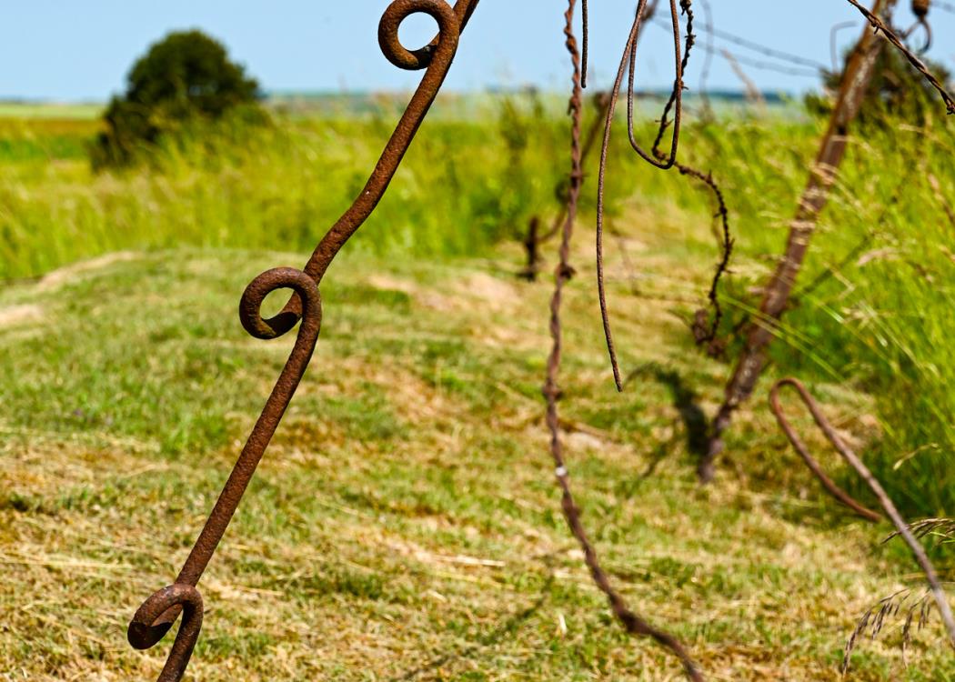 Monument de Navarin - Souain Perthes les Hurlus