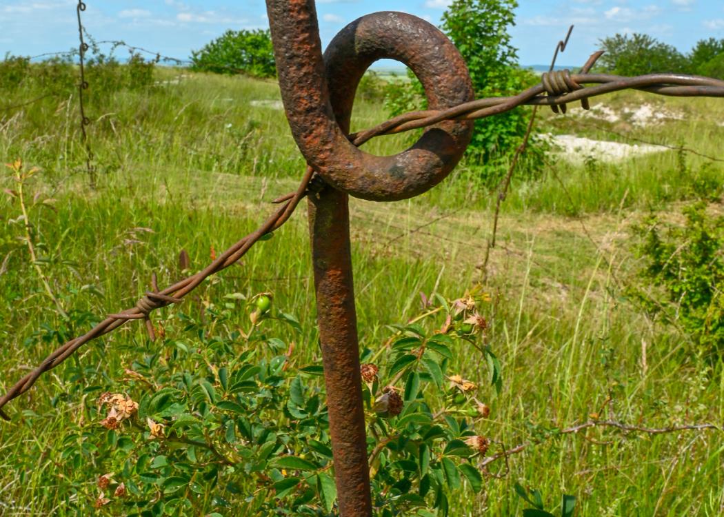 Monument de Navarin - Souain Perthes les Hurlus