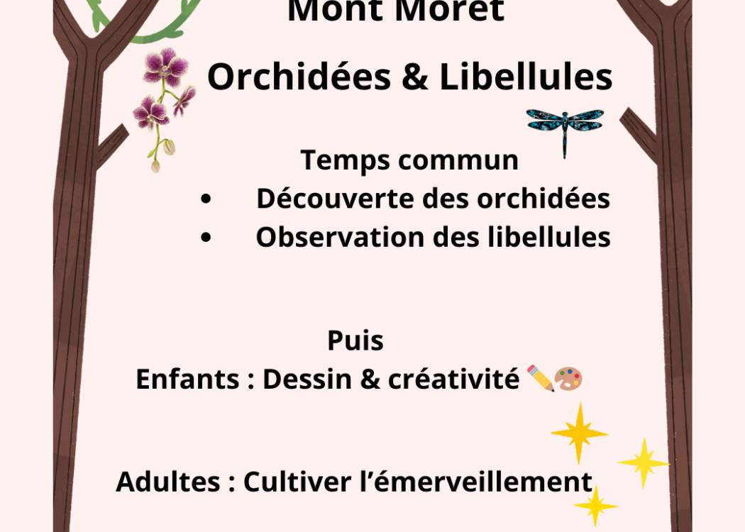 Animation nature famille - orchidées et libellules