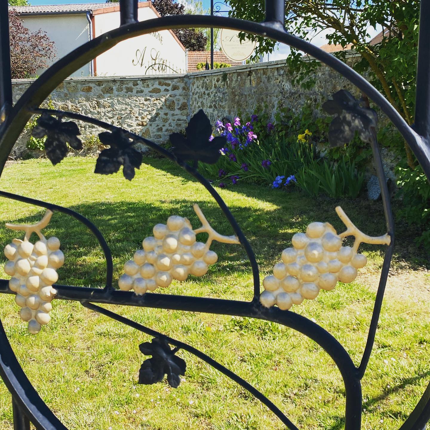 JARDIN - Champagne A Lété