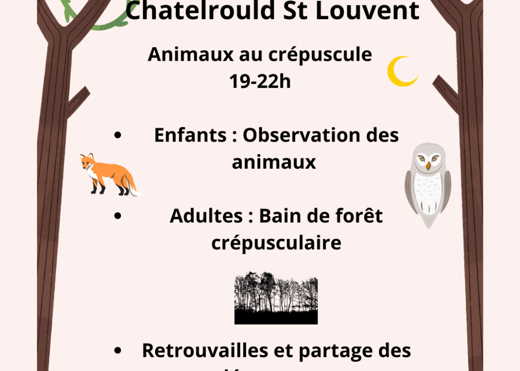 Animation nature famille - Animaux au crépuscule