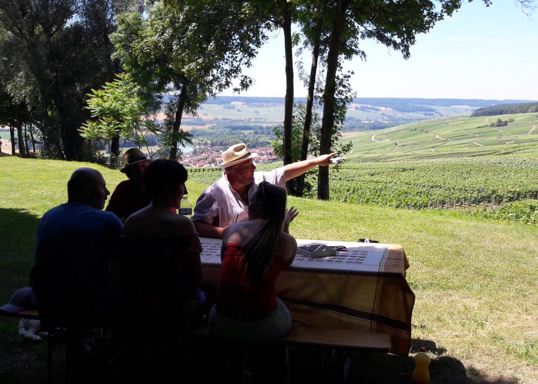 Un Vigneron, Une Histoire - Champagne Laval Louïs