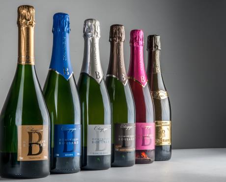 Champagne Dominique Boulard et filles