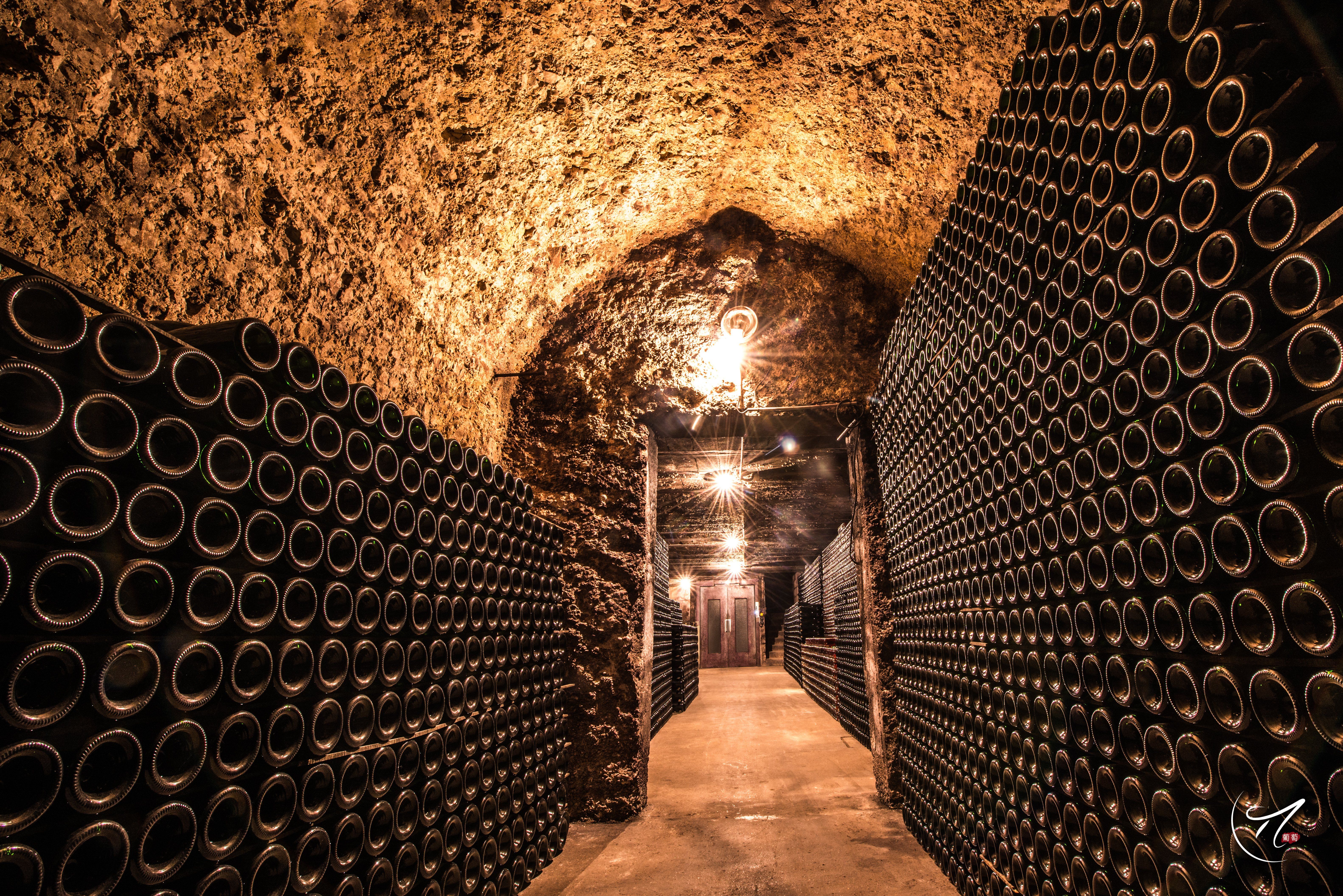 Balades en voiturette électrique – Champagne Bonnevie-Bocart