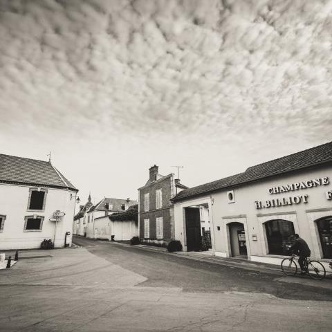 Champagne H. Billiot & Fils - Ambonnay