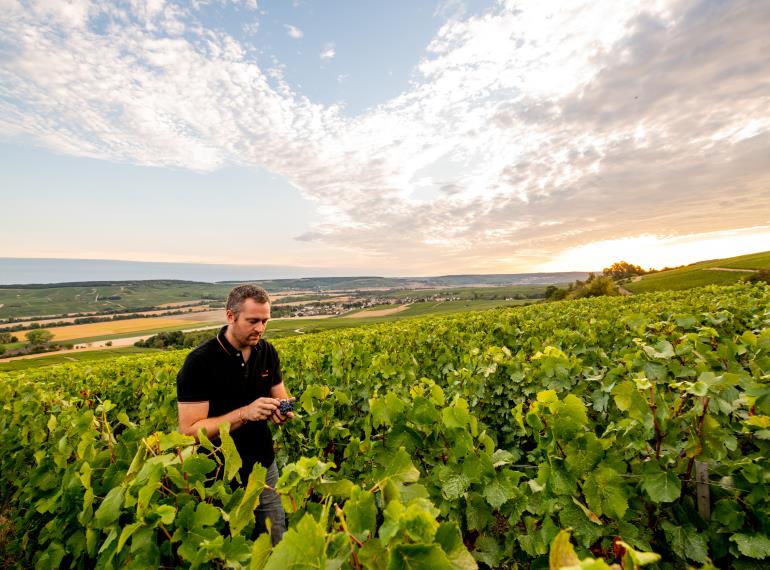 Champagne A. Leconte