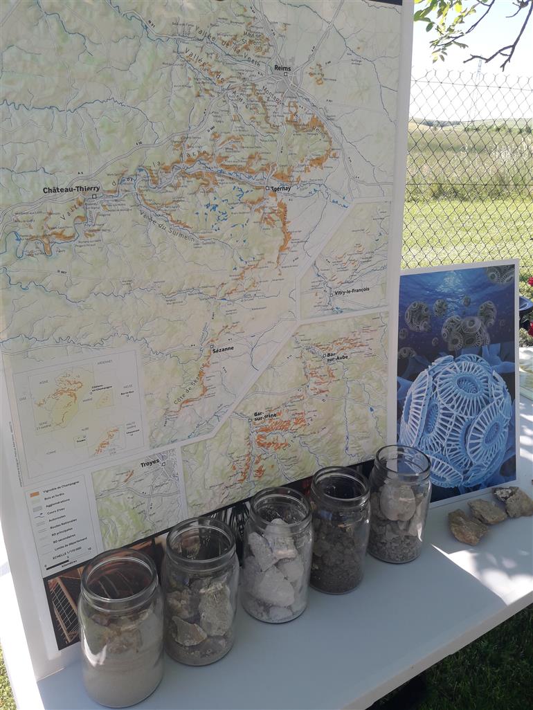 dégustation de Champagne par type de sous-sols dans les vignes