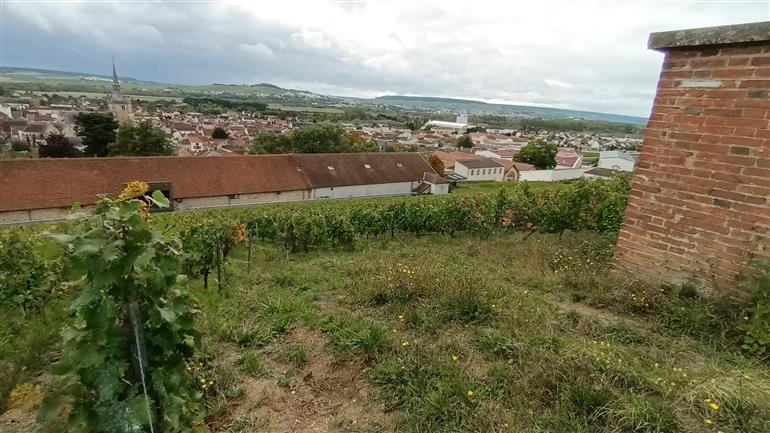 Course orientation Aÿ 2025