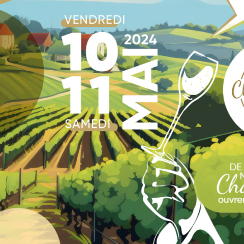 2025-05-30 Champagne Party