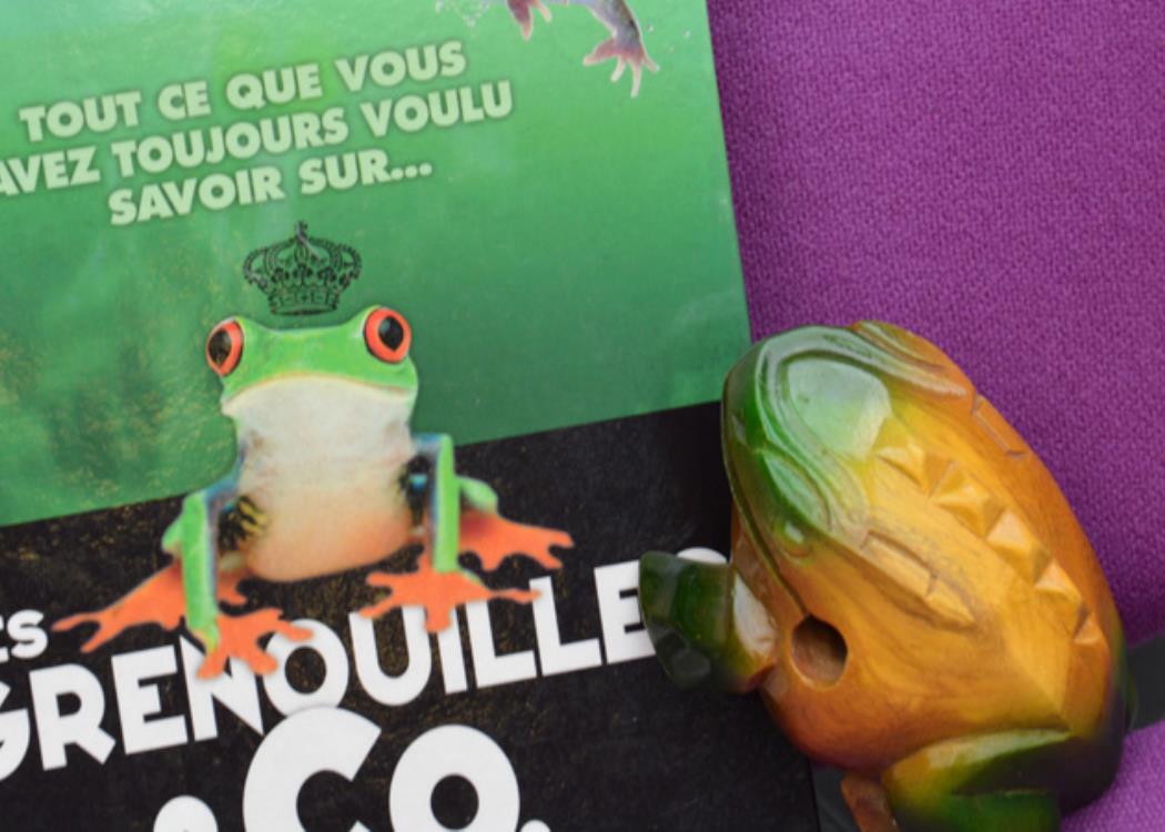2026_04_04 - Médiathèque - HDD - Les grenouilles
