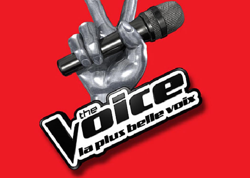 The Voice, le casting officiel The Voice, le casting officiel