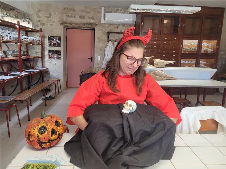 Halloween Cave aux coquillages