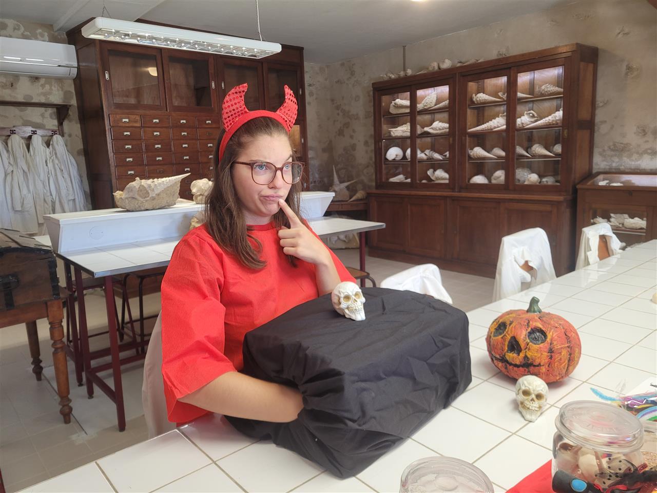 Halloween Cave aux coquillages