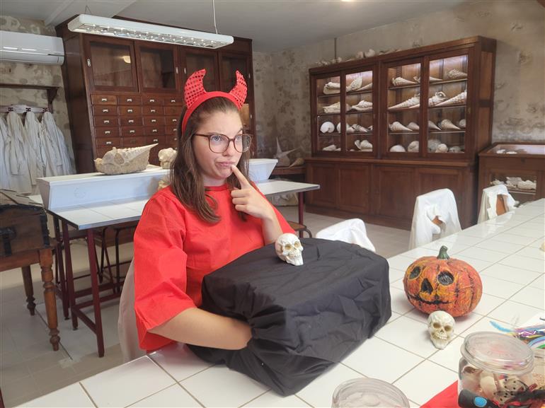 Halloween Cave aux coquillages