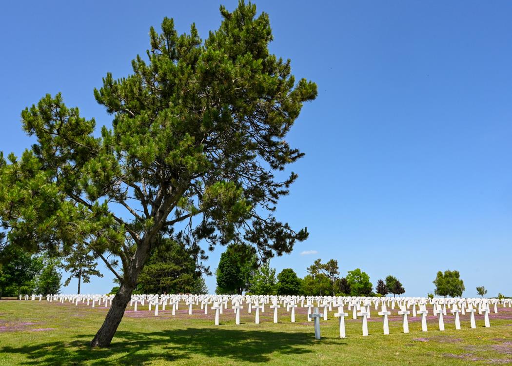 Nécropole nationale 