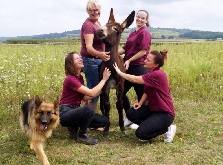 Asinerie de Pets Vitis