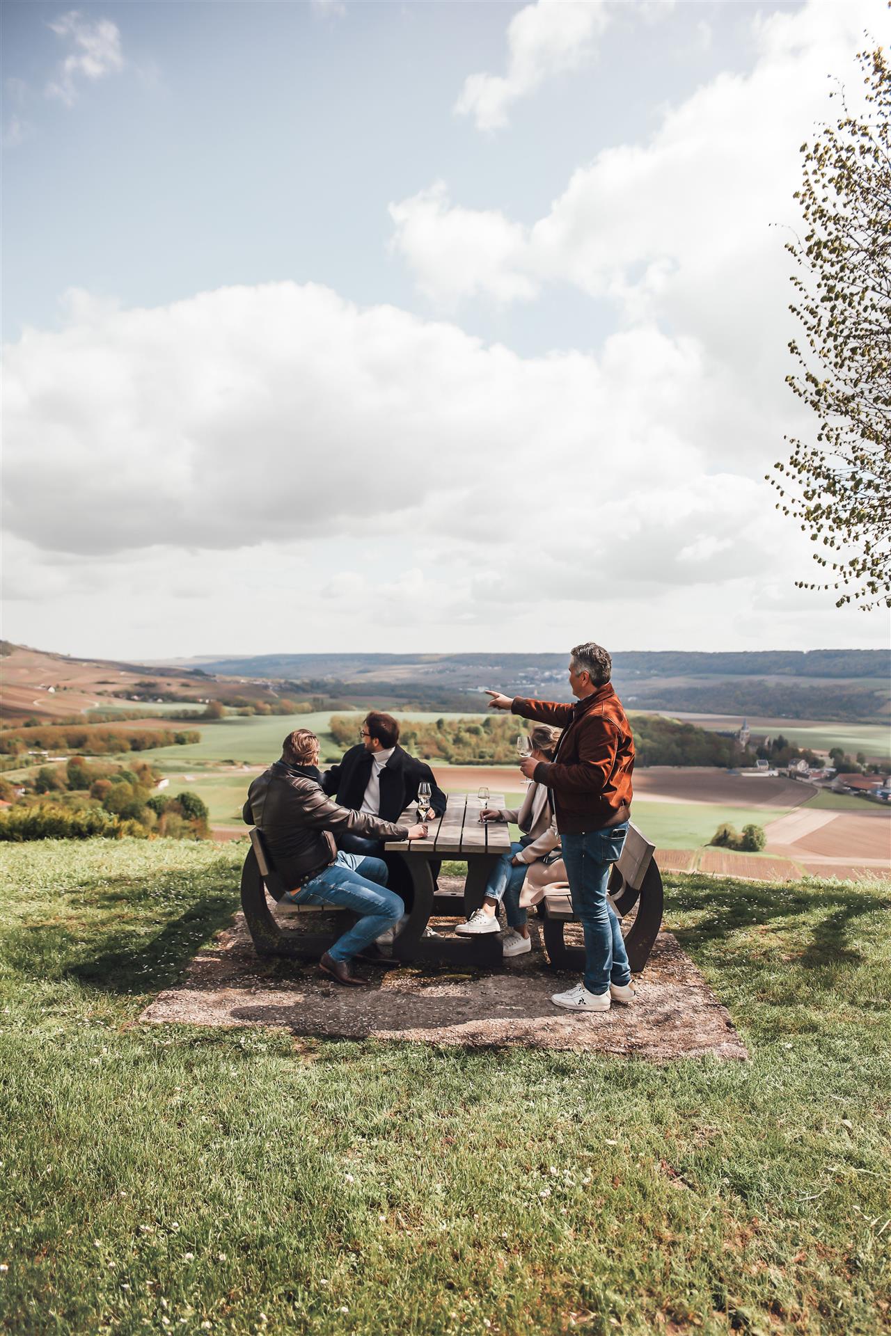 Visite du vignoble en van