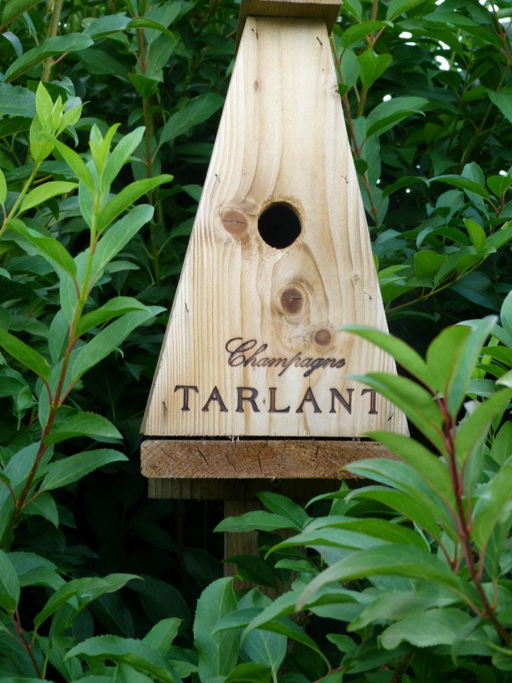 Champagne Tarlant
