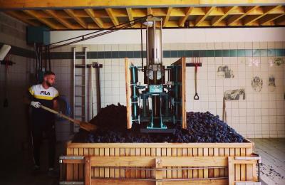 479181998_1346033146824036_2909787243868379738_n