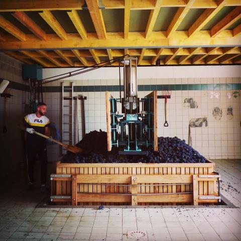 479181998_1346033146824036_2909787243868379738_n