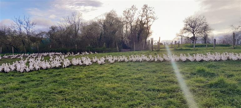 486203024_1136232804968857_3410456212428860634_n