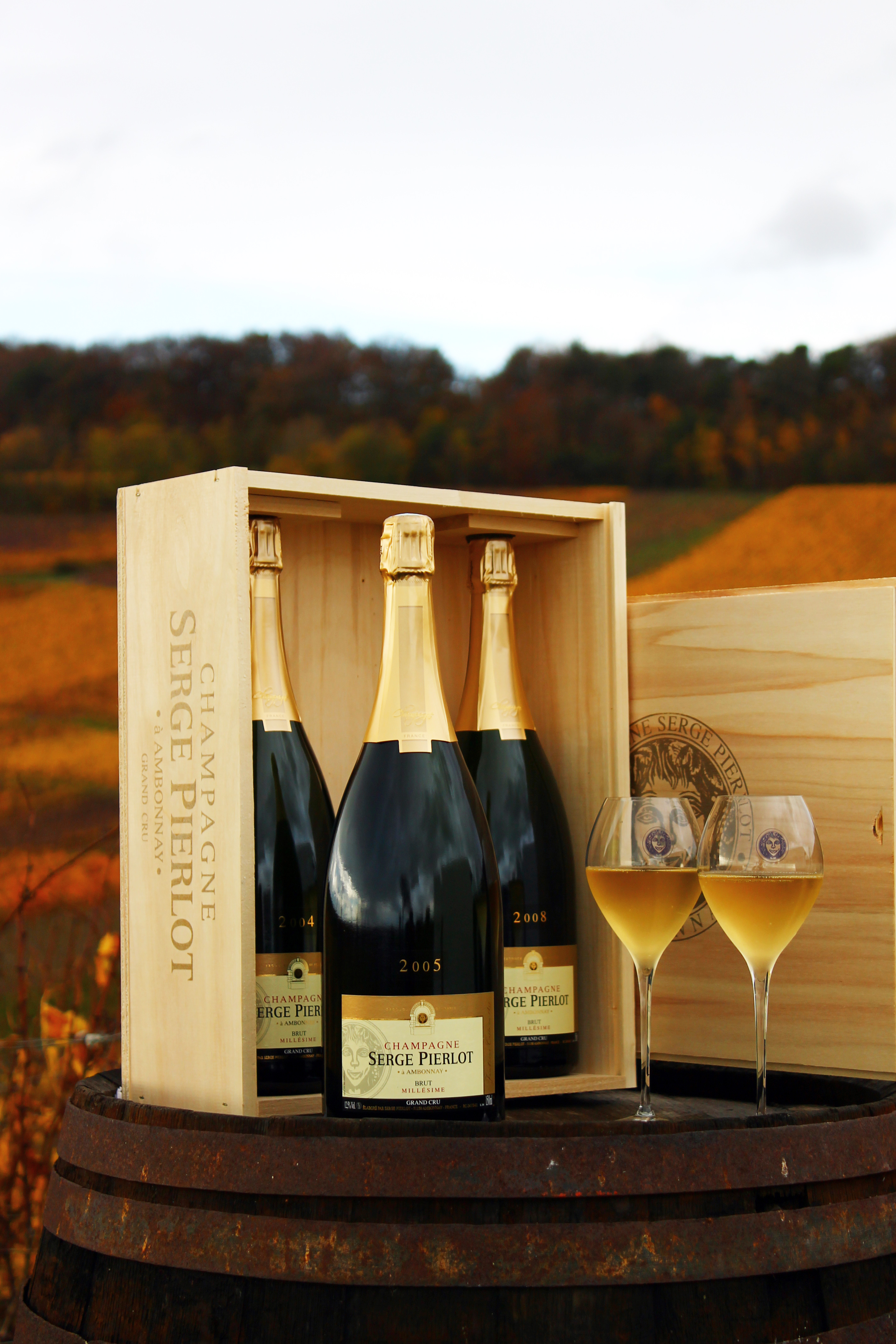 Le Cabanon Champenois