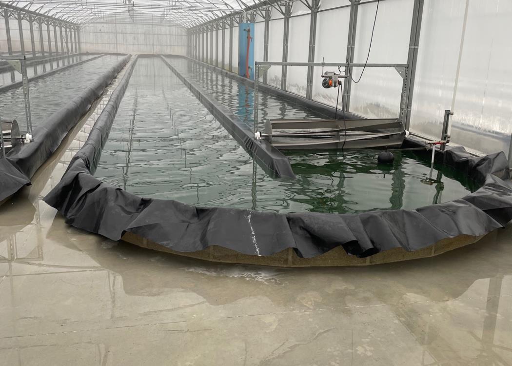 la ferme des MP la ferme des MP