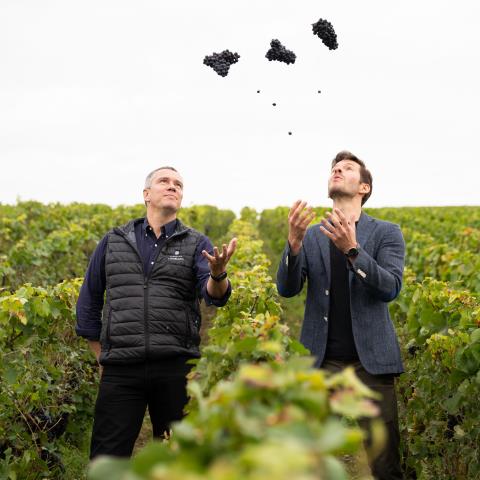 Thomas Lombard et Laurent Vaillant dans les vignes Thomas Lombard et Laurent Vaillant dans les vignes