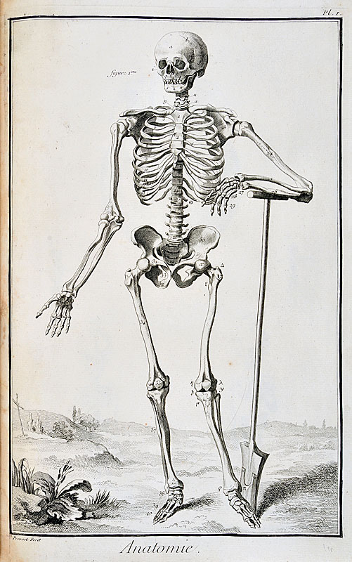 ARPL 2026 - Visite guidée des planches Anatomie de l'Encyclopédie
