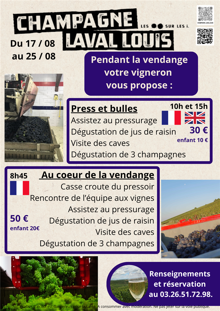 Activités vendange - 1