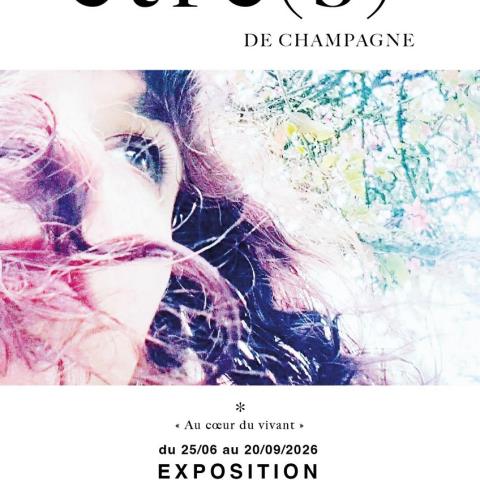 Affiche  Anne Laroque -  format portrait - pour Tourinsoft