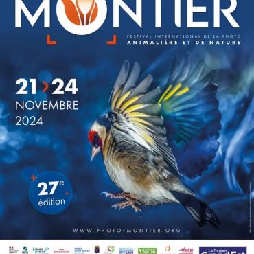 27ème Festival International de la photo animalière... Du 21 au 24 nov 2024