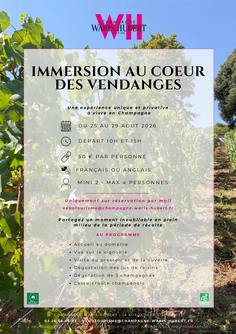 Affiche OT- Immersion Vendanges 2026_page-0001
