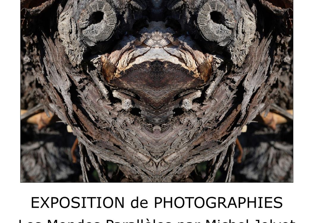 Affiche expo Michel Jolyot 2025