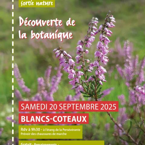 Découverte de la botanique dans un patrimoine naturel remarquable