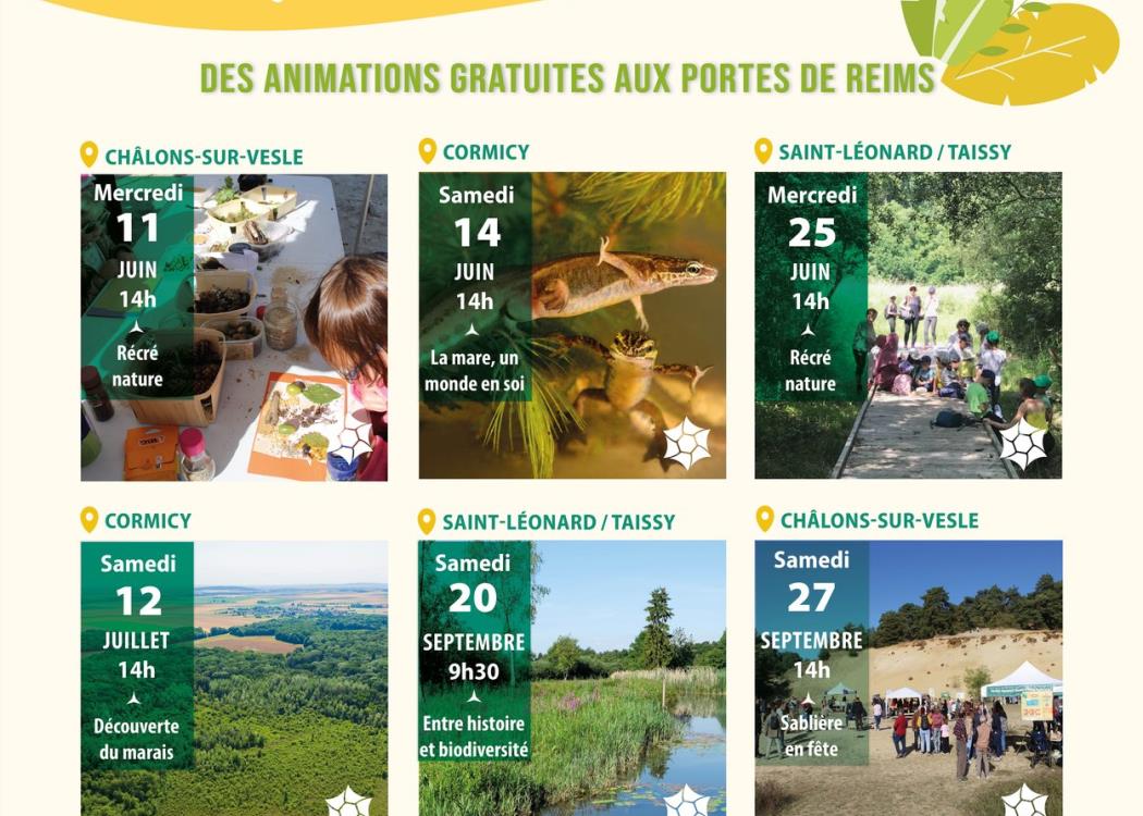 AfficheA4-grand-reims-juin-septembre-2025-4 (1)